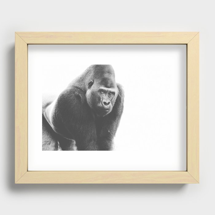 Silverback Gorilla (black + white) Recessed Framed Print