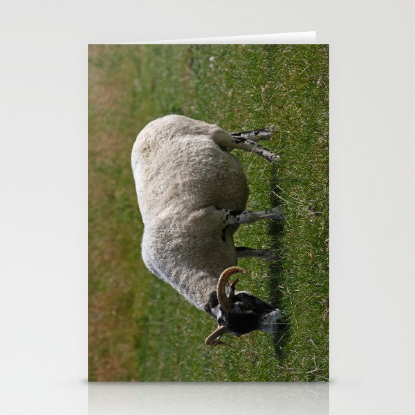 Sheep Baaaaa... Stationery Cards