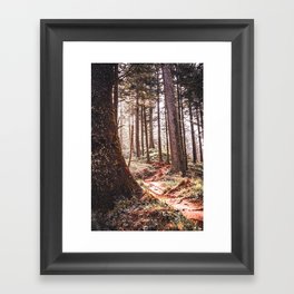Oregon Coast Forest | Spruce Trees in the PNW | Travel Photography Framed Art Print