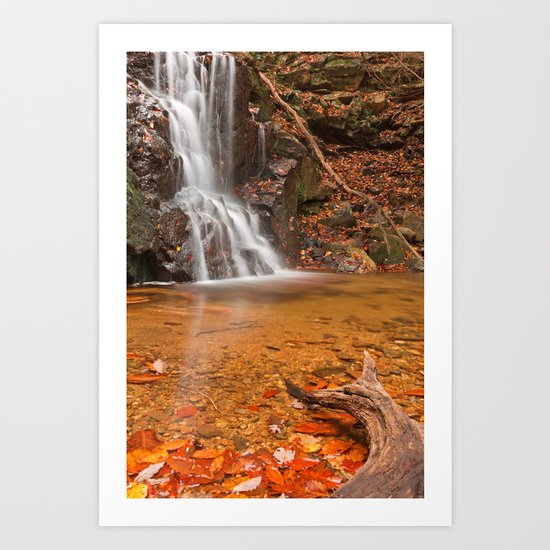 Avalon Hook Falls Art Print