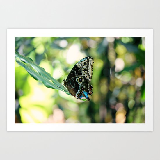 With a Broken Wing... Art Print