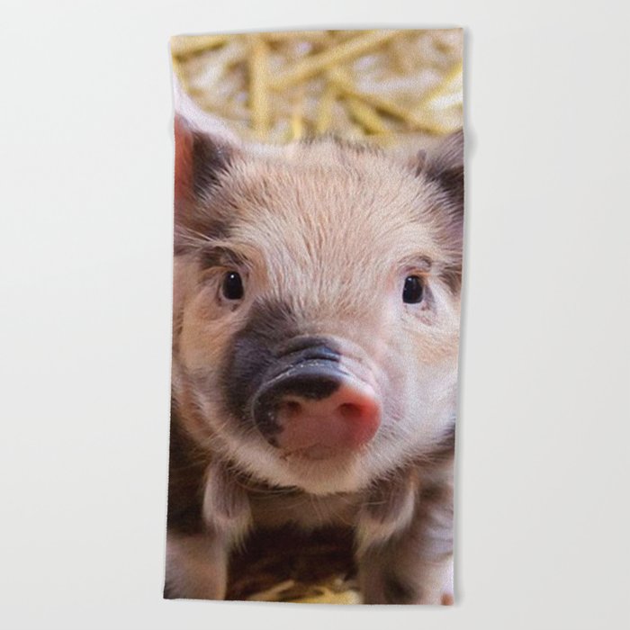 Sweet Piglet Beach Towel By Mehrfarbeimleben Sweet Piglet Beach Towel