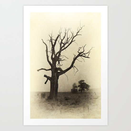 Ye Olde Tree Art Print