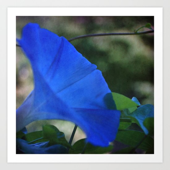 Morning Blues Art Print