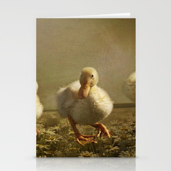 Dancing On Daisies Stationery Cards