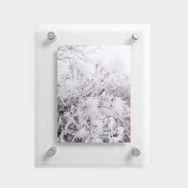 decent white Floating Acrylic Print