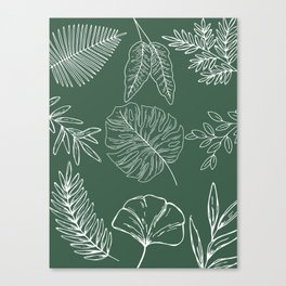 Green and White Foliage Background Canvas Print