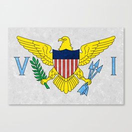 Flag of The US Virgin Islands American Flags Banner Standard Colors Canvas Print