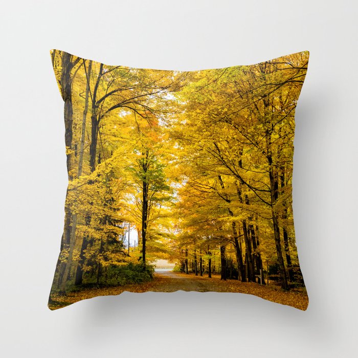 Roadway Towards Fall (Nature Photography) Throw Pillow