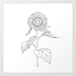 Sunflower Drawing Art Print