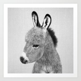 Donkey - Black & White Art Print