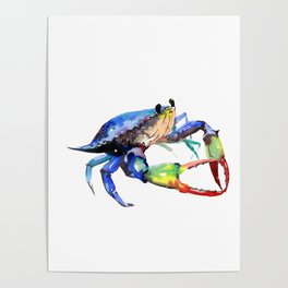 Crab, Sea World Rainbow Colors Beach Poster