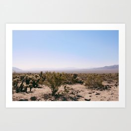 Mojave / Joshua Tree, California Art Print