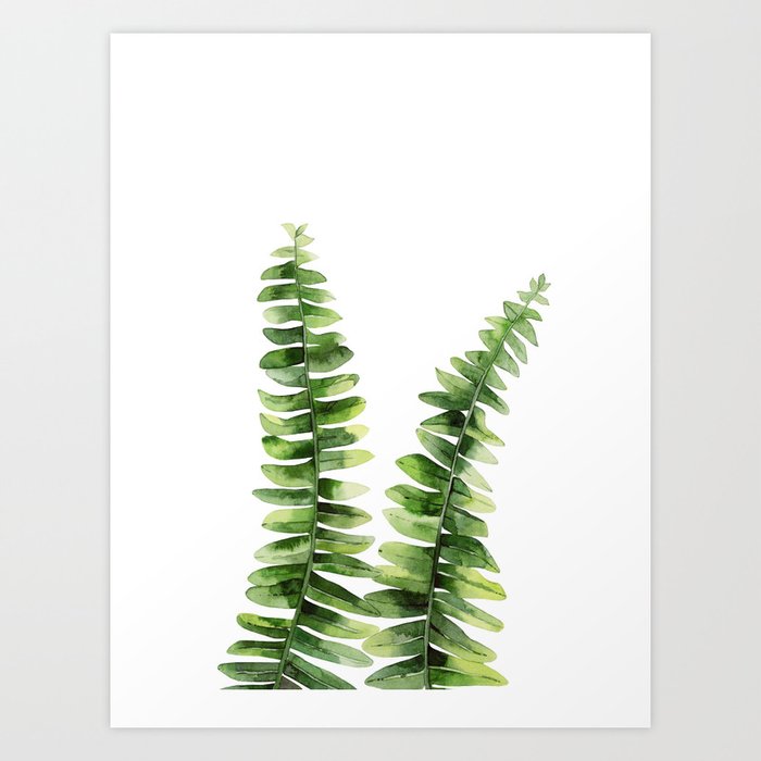 Discover the motif FERN PLANT by Art by ASolo as a print at TOPPOSTER