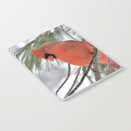 Snow Globe Cardinal (square) Notebook
