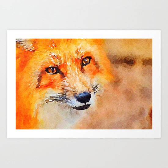 Fox 2 Art Print