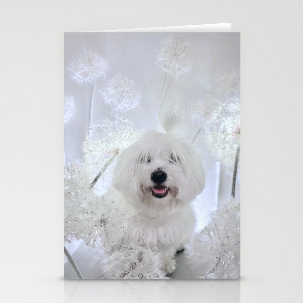 Happy Dandy Floof - Dandelion Dog Wiggleworth Coton de Tulear Stationery Cards