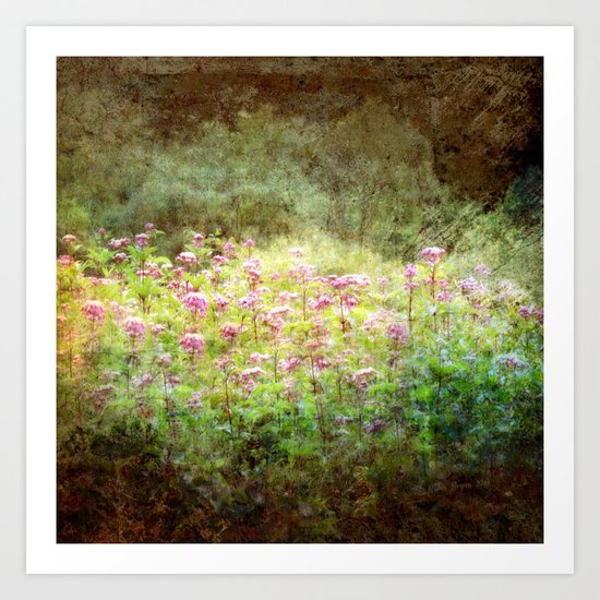 Light in the Forest Art Print
