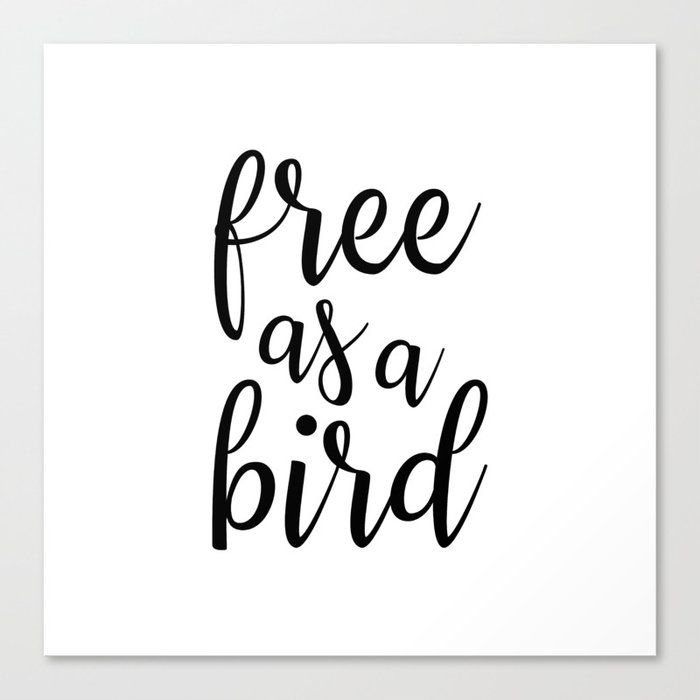 Free as a Bird Canvas Print