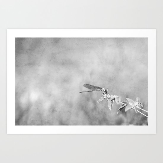 Dragonfly Art Print