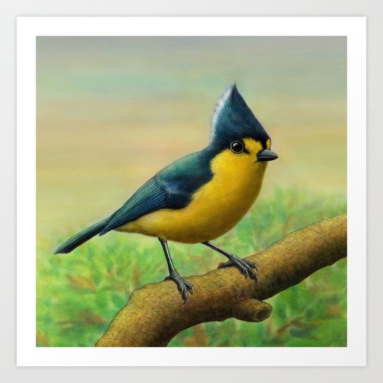 Yellow Tit Art Print
