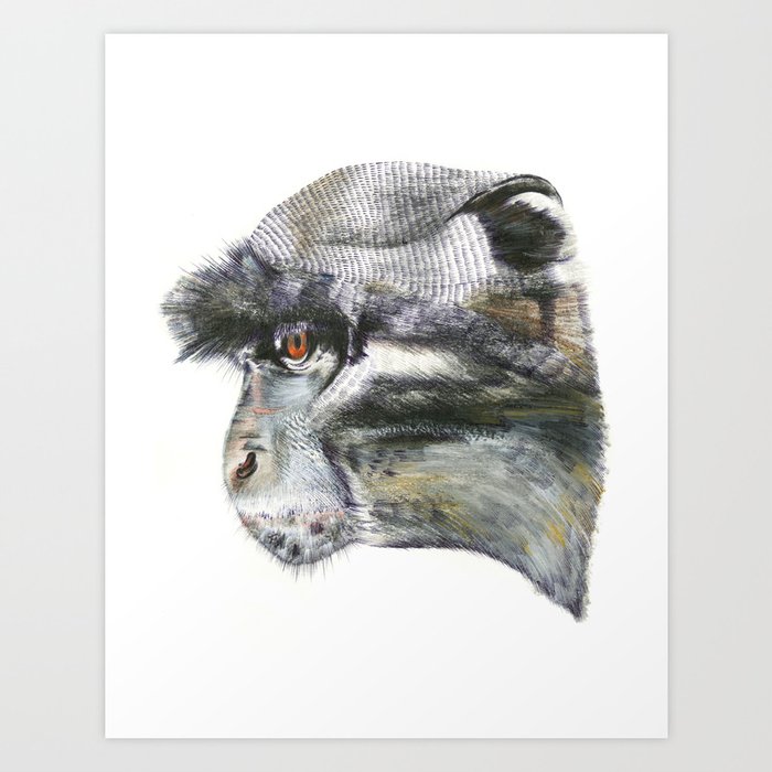Sykes Monkey! Art Print