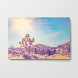 cactus at the desert in summer with strong sunlight Metal Print