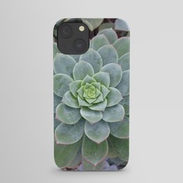 Sweet and Succulent iPhone Case