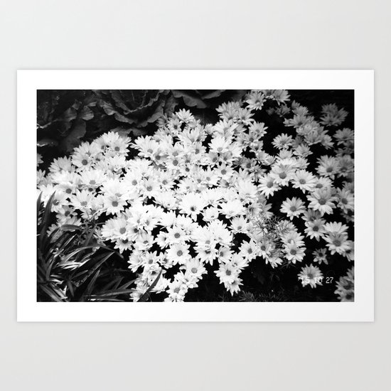 Flowers Art Print