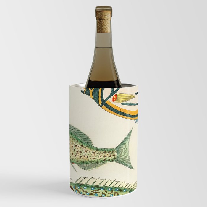 fish Wine Chiller