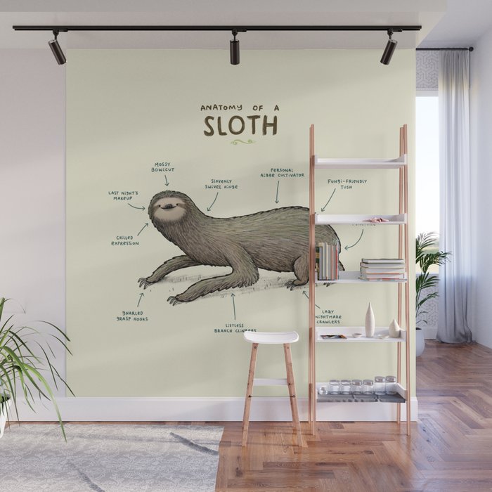 Anatomy of a Sloth Wall Mural