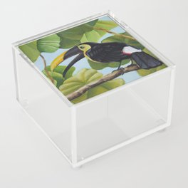 Tucan on branch Acrylic Box