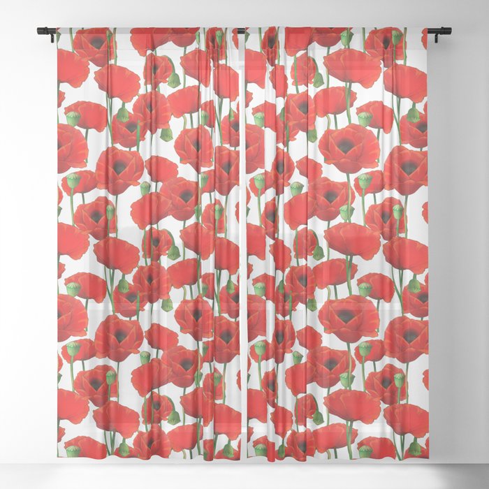 Sheer Curtain