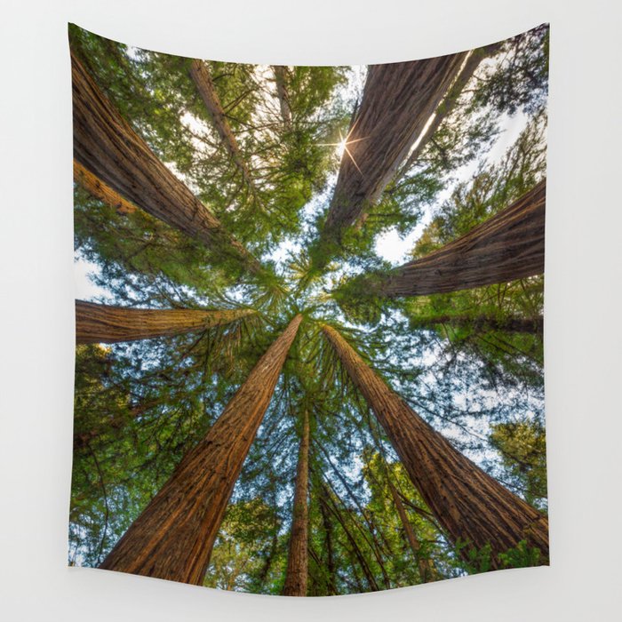 Redwood Forest Canopy Wall Tapestry