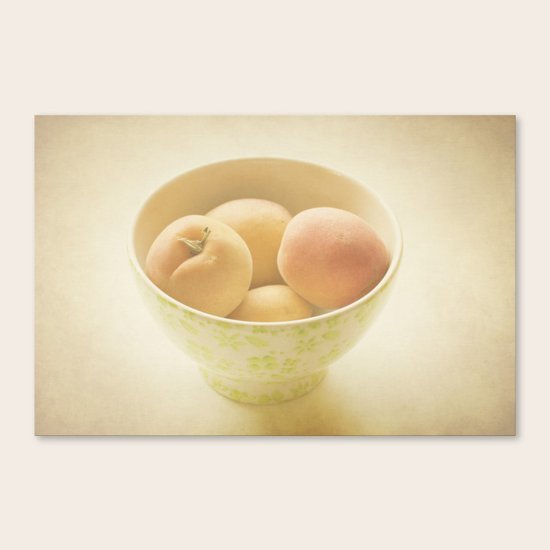 Apricots Canvas Print
