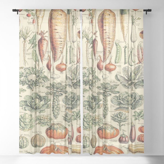 Sheer Curtain