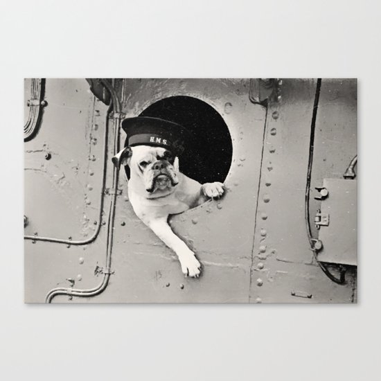 English Bulldog Canvas Print