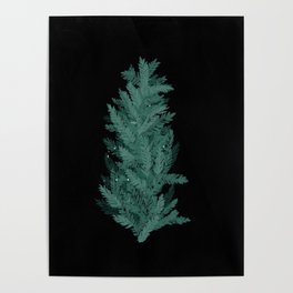 Winter pine bush Poster