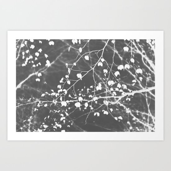 Negative 3 Art Print