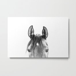 peekaboo horse, bw horse print, horse photo, equestrian print, equestrian photo, equestrian decor Metal Print