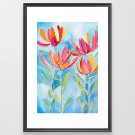 Leucadendron Framed Art Print