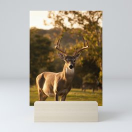 Deer Mini Art Print