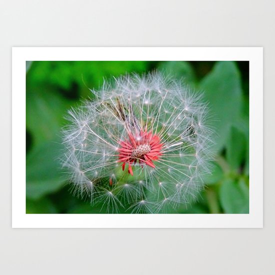 flower Art Print