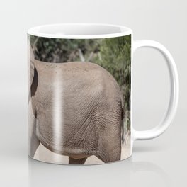 Elephant Seal In Search Of Water Coffee Mug