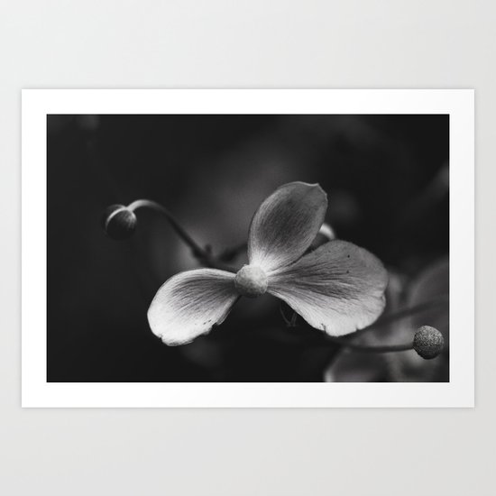 Shades of grey Art Print