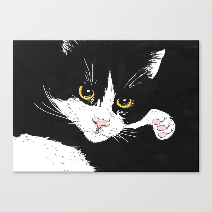 Black and white cat Canvas Print