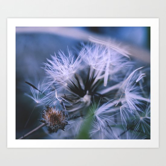 In the Wind Art Print