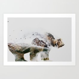 Bear Falls Art Print
