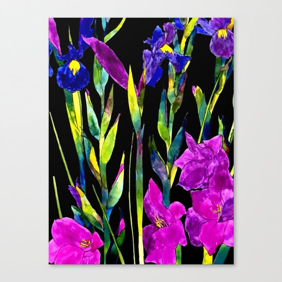 black iris Canvas Print
