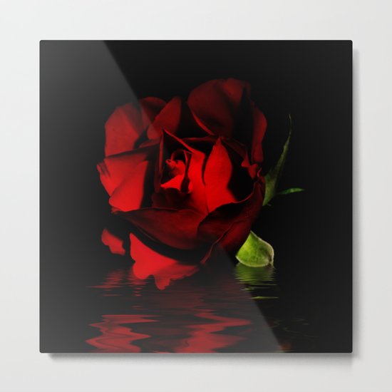The Rose Metal Print